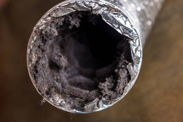 Best Best Air Duct Cleaning Company  in Fairfax, IA